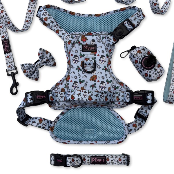 Mr Robin Explorer Harness Bundle